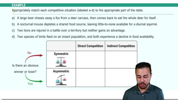 Community Interactions: Competition (-/-) Example 1