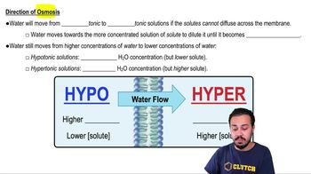 Direction of Osmosis