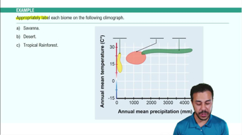 Terrestrial Biomes: Near Equator Example 1