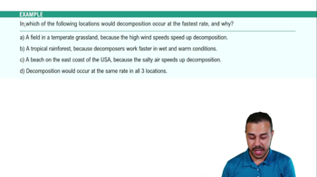 Introduction to Ecosystems Example 2