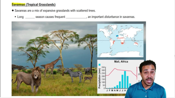 Savannas (Tropical Grasslands)