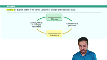 Earth's Climate Patterns Example 5