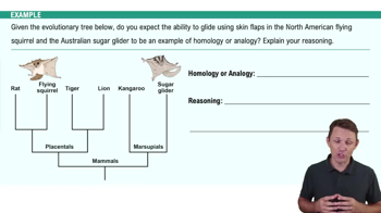 Evidence of Evolution Example 1