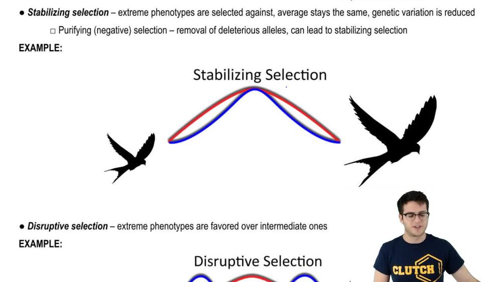 directional selection example