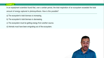 Energy Flow Through Ecosystems Example 1