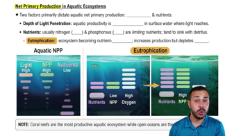 Primary Production in Aquatic Ecosystems