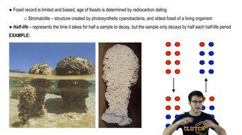 Biogeography, Fossil Record, and Radiocarbon Dating