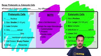 Recap: Prokaryotic vs. Eukaryotic Cells