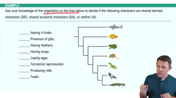 Building Phylogenetic Trees Example 1