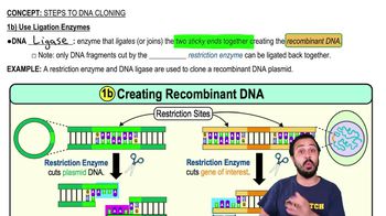 1b) Use Ligation Enzymes