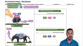 Net Productive Energy ≈ New Biomass