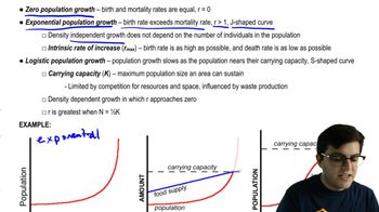 Population Growth