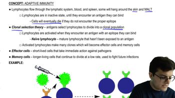 Clonal Selection Theory