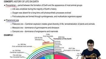 Timeline of Life on Earth