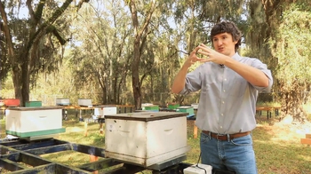 Short Video: Bee Colony Decline