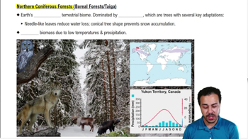 Northern Coniferous Forests (Boreal Forests/Taiga)