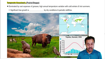 Temperate Grasslands (Prairie/Steppe)