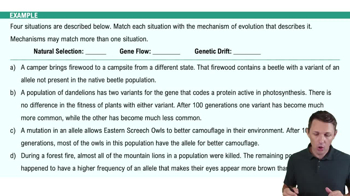 Evolution of Populations Example 1