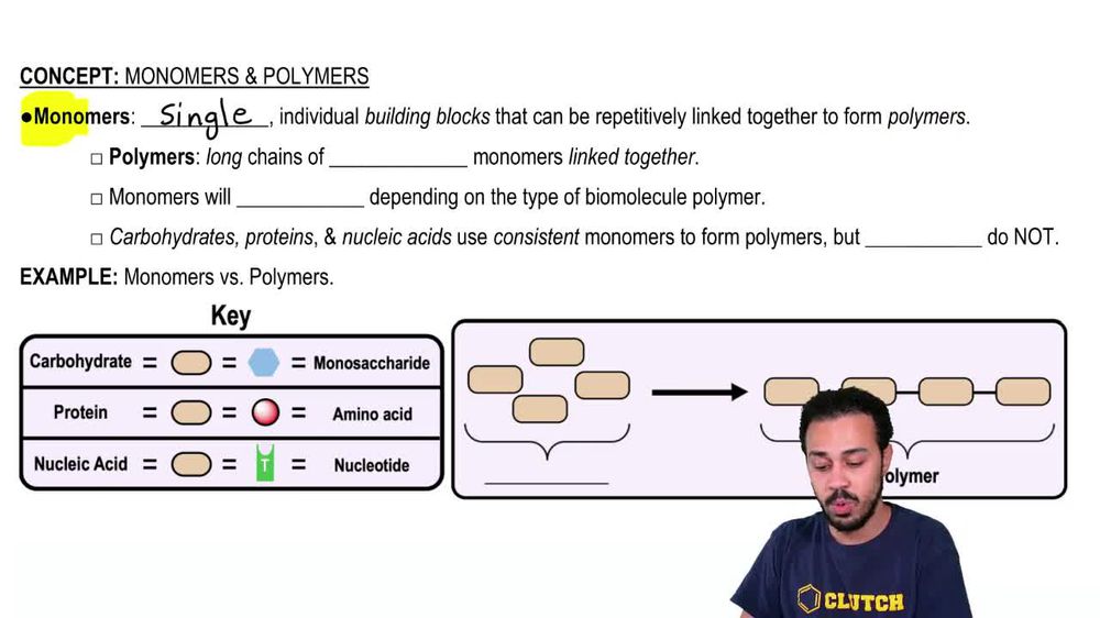 polymers and monomers examples