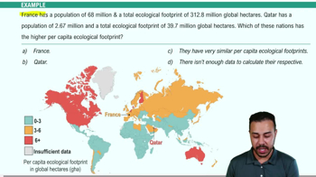 The Human Population Example 2