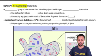 Introduction to Biofilms