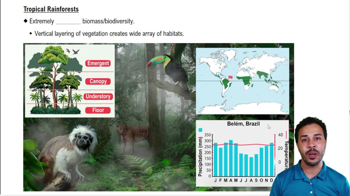 Tropical Rainforests