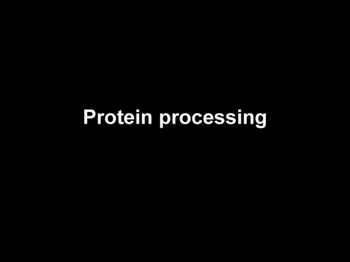 BioFlix: Protein Modifications