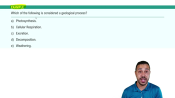 Biogeochemical Cycles Example 1