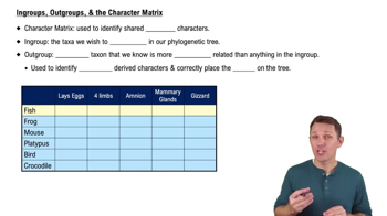 Ingroups, Outgroups, & the Character Matrix