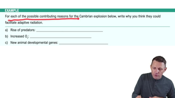 Adaptive Radiation Example 2