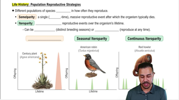 Life History: Population Reproductive Strategies