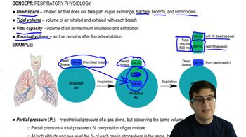 Air Movement and Partial Pressure