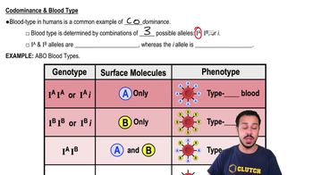 Codominance & Blood Type