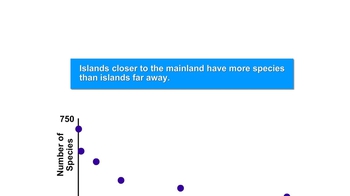 Animation: Exploring Island Biogeography