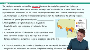 Allopatric and Sympatric Speciation Example 1