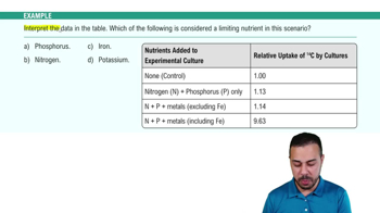 Factors Impacting Primary Production Example 1