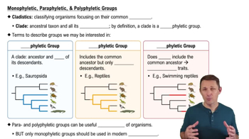 Monophyletic, Paraphyletic, & Polyphyletic Group