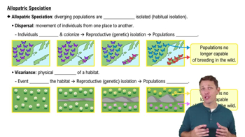 Allopatric Speciation