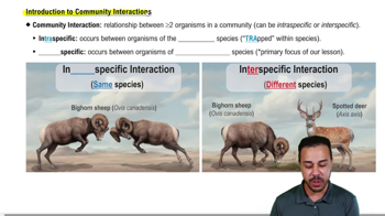 Introduction to Community Interactions