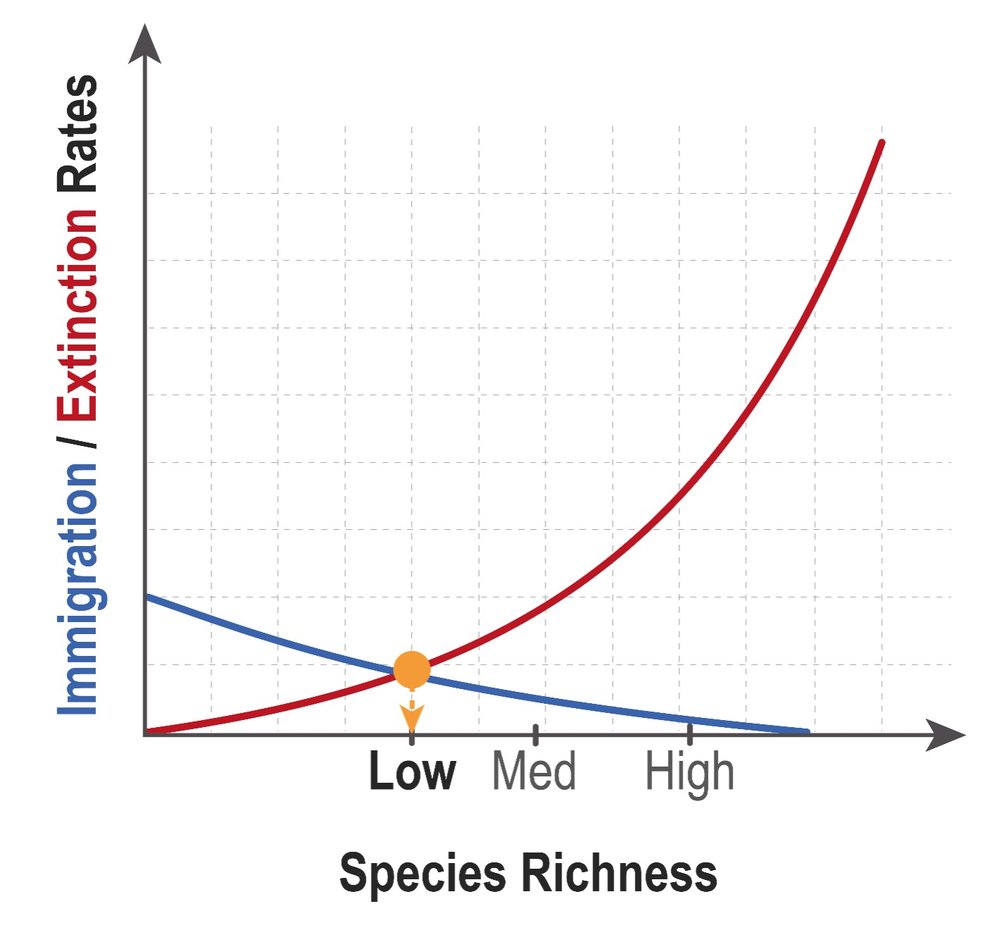 Graph showing immigration and extinction rates for low species richness on a small island.