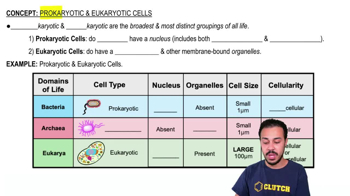 Prokaryotic & Eukaryotic Cells