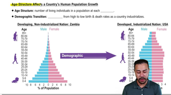 Age-Structure Affects a Country's Human Population Growth