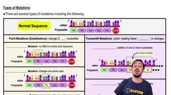 Types of Mutations