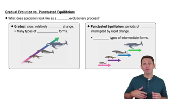 Gradual Evolution vs. Punctuated Equilibrium