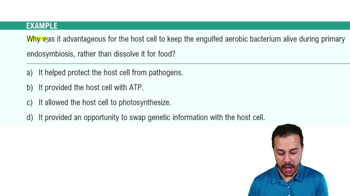 Evolution of Protists Example 1