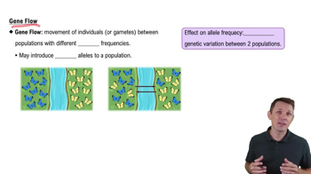 Gene Flow