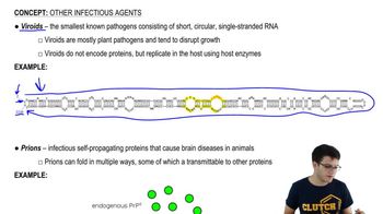 Viroids and Prions