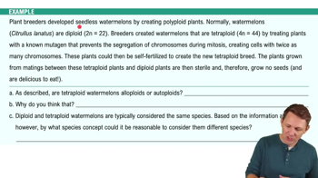 Allopatric and Sympatric Speciation Example 2