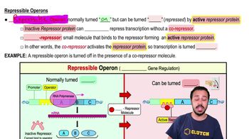 Repressible Operons