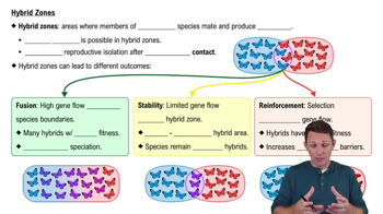 Hybrid Zones